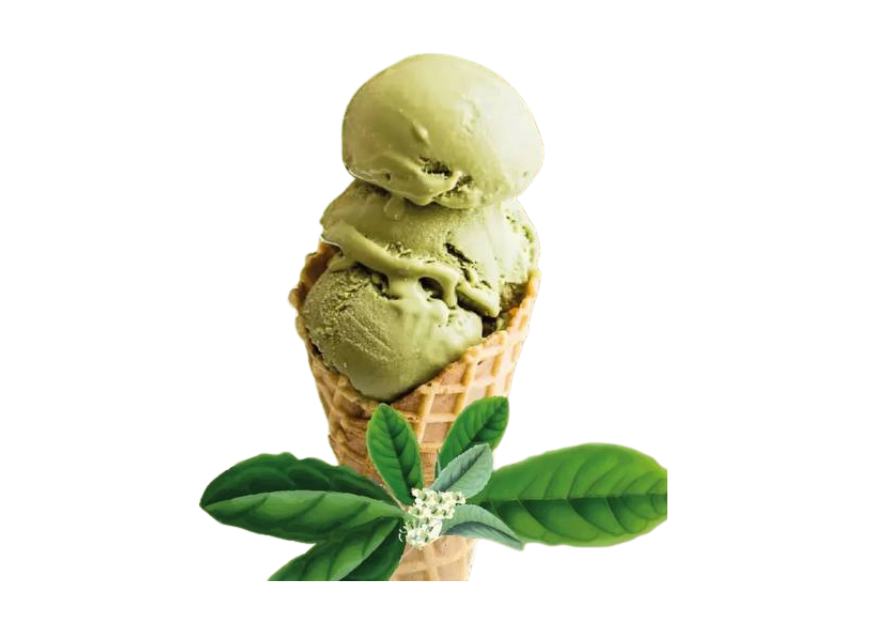 ice cream yerba mate 2